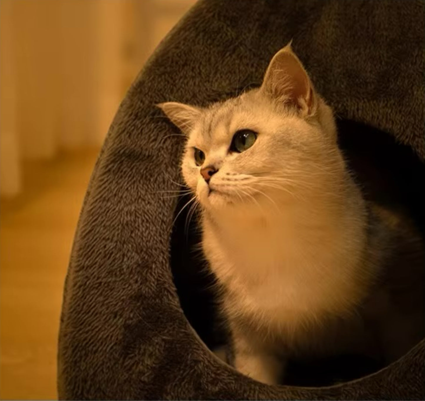 NIDO™ | Niche en velours pour chat