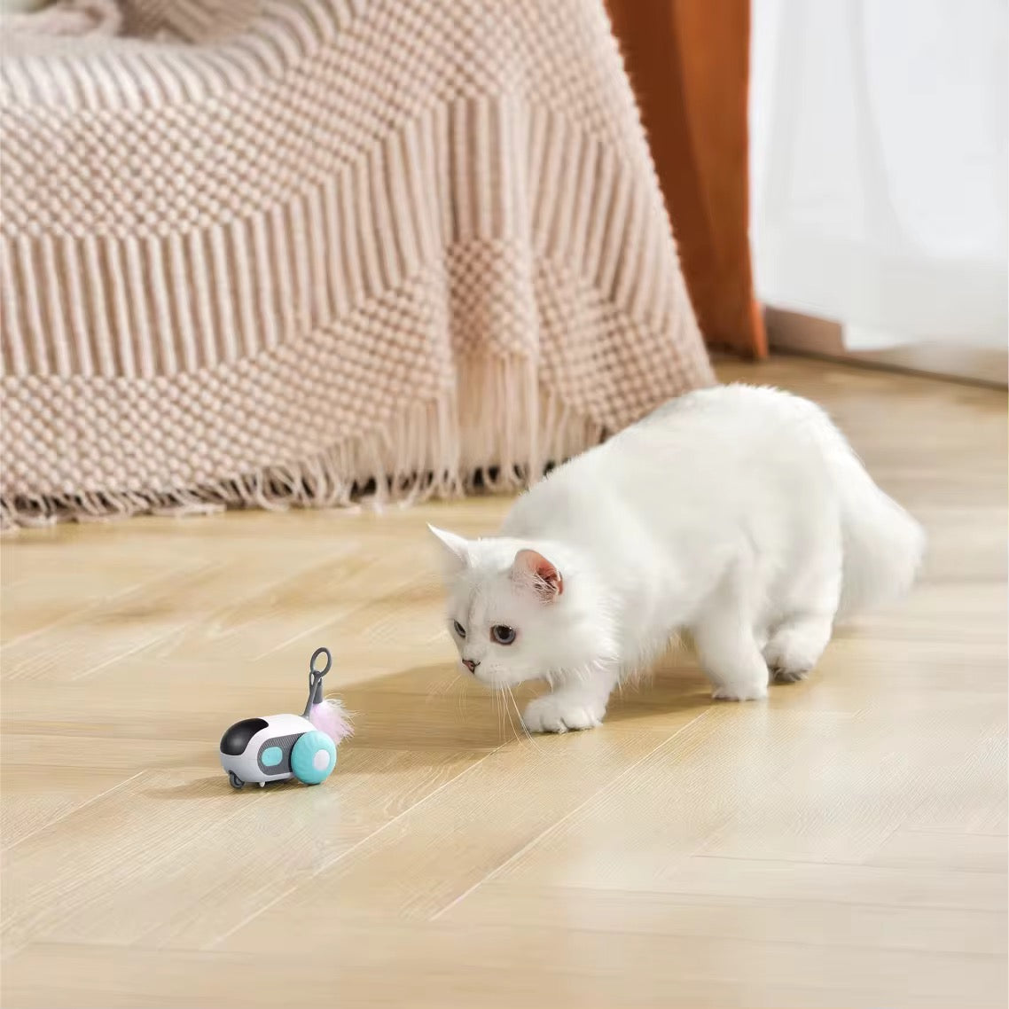 STUART™ | Jouet voiture télécommandée et automatique pour chat