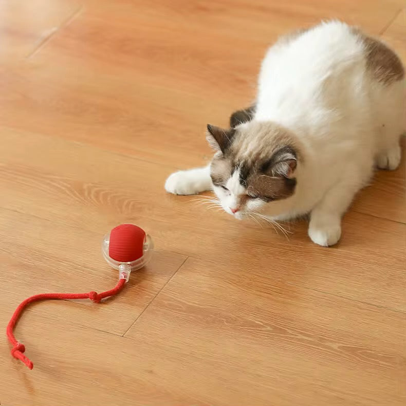 GOTA™ | Balle interactive automatique pour chat