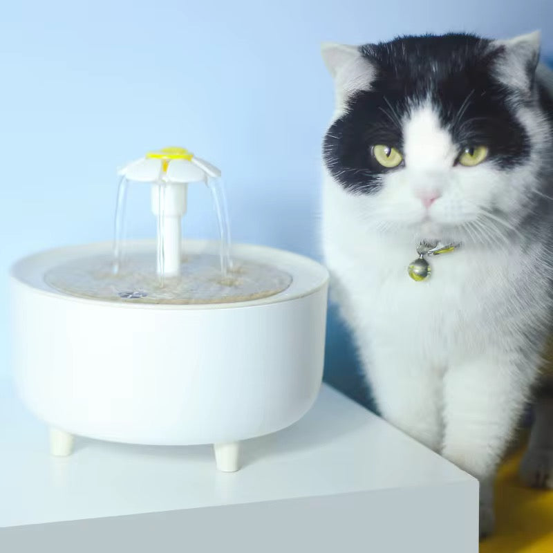 POOL™ | Fontaine automatique pour chat