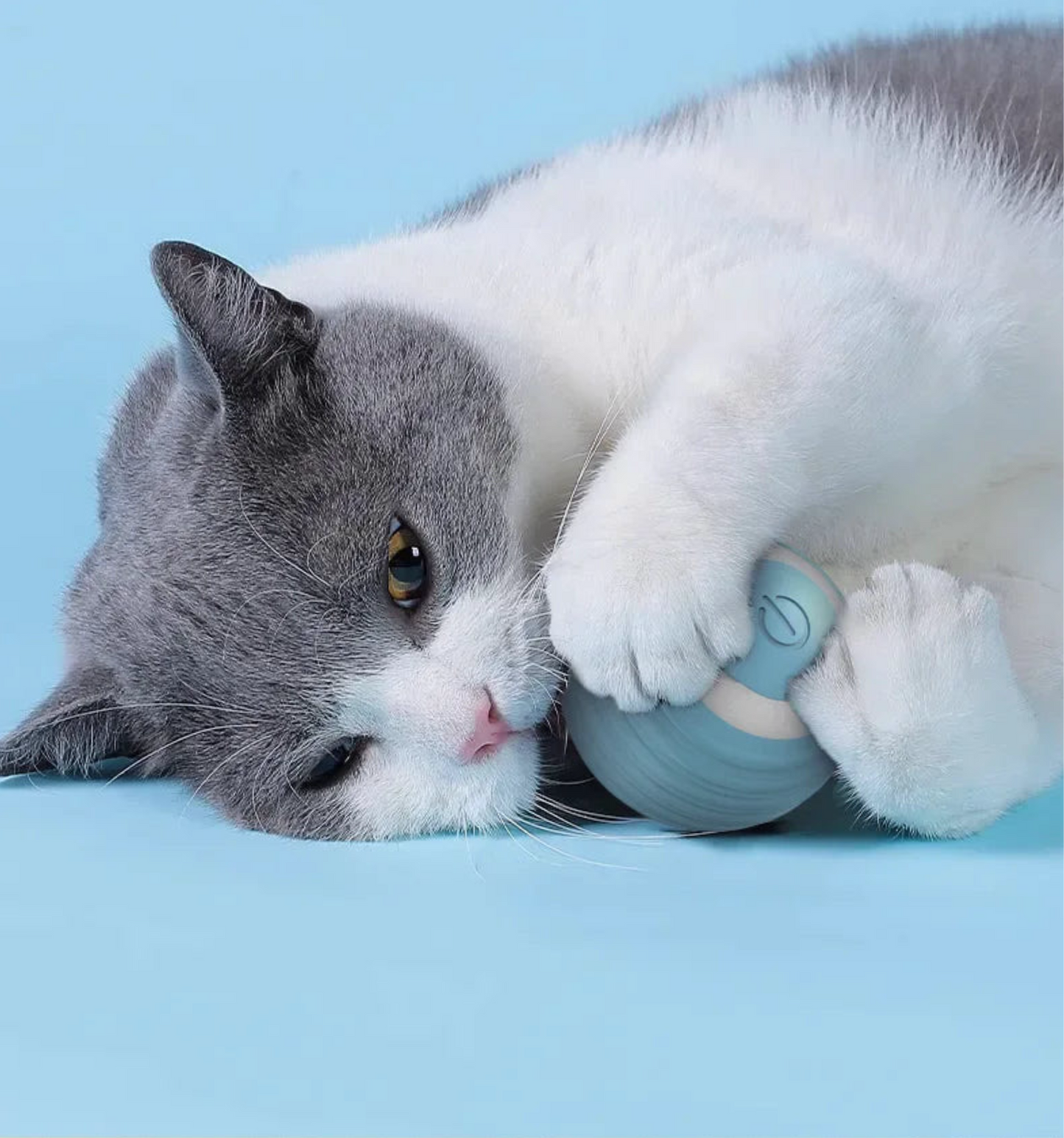 BALA™ | Ball roulante automatique et interactive pour chat