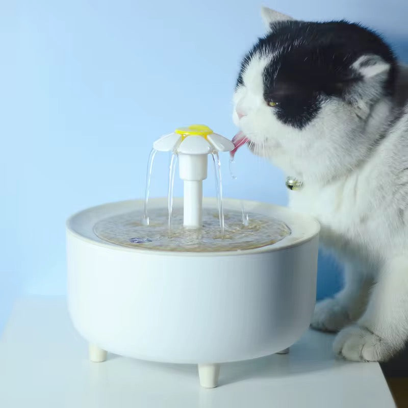 POOL™ | Fontaine automatique pour chat