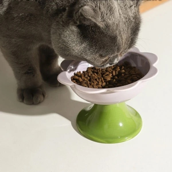 LOOM™ | Gamelle surélevée en céramique pour chat