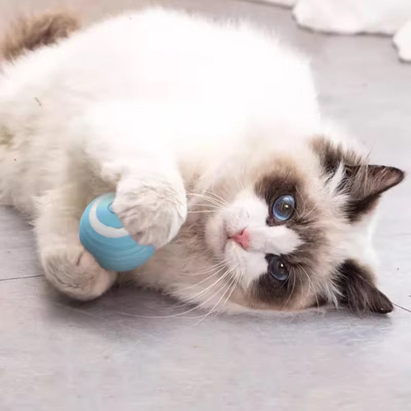 BALA™ | Ball roulante automatique et interactive pour chat