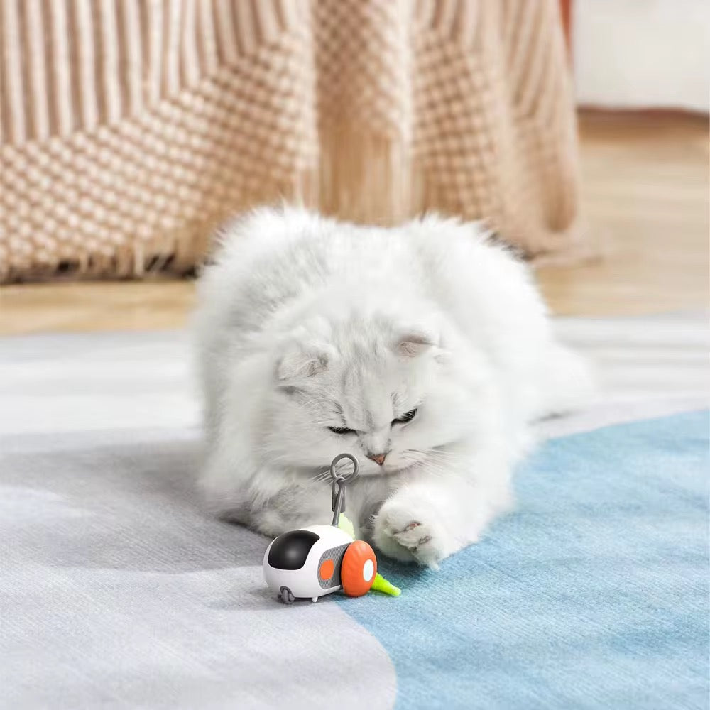 STUART™ | Jouet voiture télécommandée et automatique pour chat