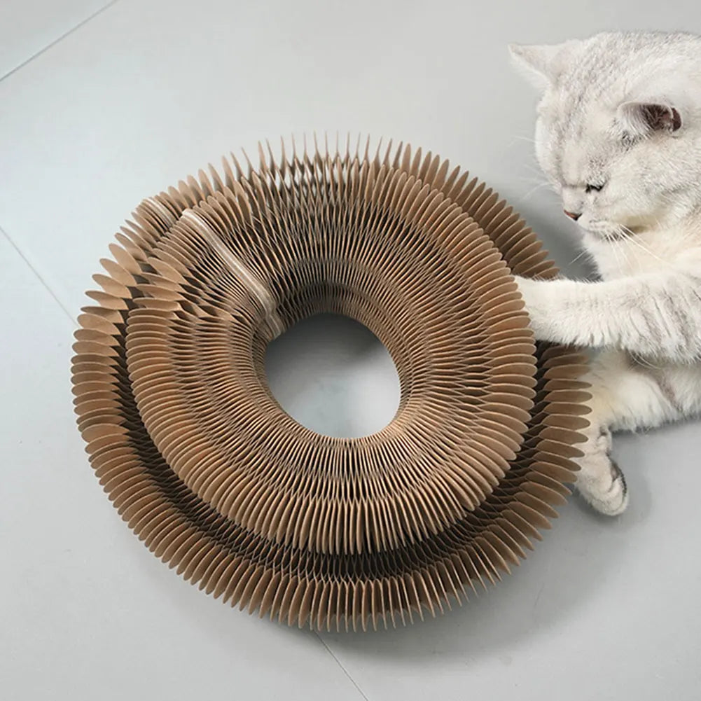 ABEE™ | Griffoir magique 2-en-1 pour chat