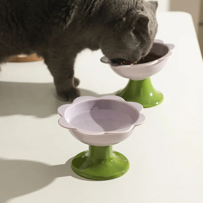 LOOM™ | Gamelle surélevée en céramique pour chat