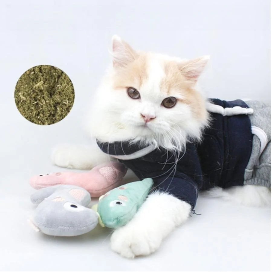 MOXIES™ | Jouets en peluche imprégnés d’herbe à chat