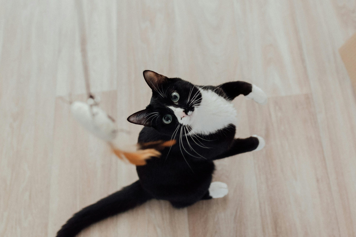 Jouets