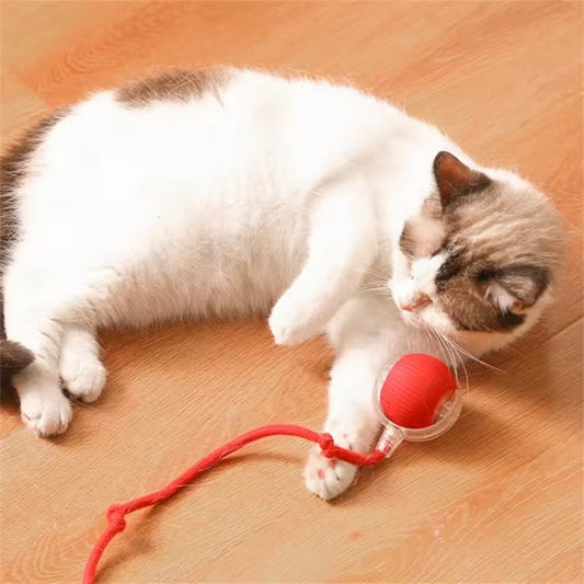 GOTA™ | Balle interactive automatique pour chat