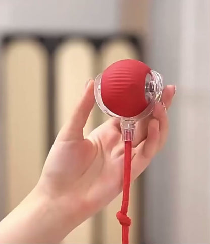 GOTA™ | Balle interactive automatique pour chat